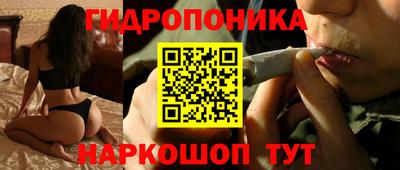 ГАЛЛЮЦИНОГЕННЫЕ ГРИБЫ Будённовск