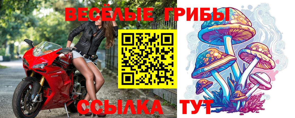 Псилоцибиновые грибы мухоморы Сухой Лог